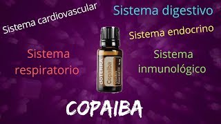 COPAIBA |  ORIGEN, USOS, APLICACIÓN Y MÁS