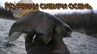 НА БОЛОТО ХОДАХ ПО РЕКАМ СИБИРИ. ЗА ТРОФЕЕМ НА ОСЕННИЙ КЛЕВ