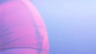 Stripper Wife Performs For Husband | Scorned: Love Kills