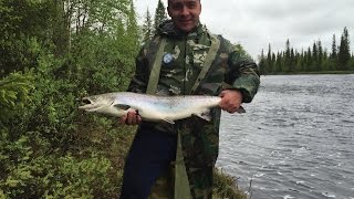 Рыбалка на семгу. Кольский п-ов.Май 2016 года.