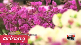Viewfinder _ AT Yangjae Flower Market Center