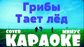 Грибы - Тает лёд (МИНУС КАРАОКЕ) ☆◦ Dmitriy Subotenko Cover ◦☆