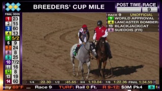 LIVE The Breeders' Cup World Championships Saturday