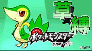 【ゆっくり実況】草タイプ縛りでやっていく BW縛り実況プレイ part１ 【ポケットモンスター/ポケモン】