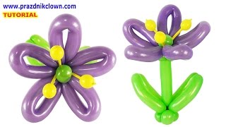ЦВЕТОК ИЗ длинных ШАРОВ шдм СВОИМИ РУКАМИ How to Make a Balloon Flower Instructions