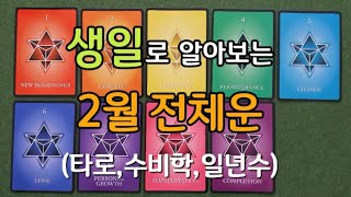 [타로/생일/수비학]나의 생일(일년수)과 타로카드로 알아보는 2월 전체운세