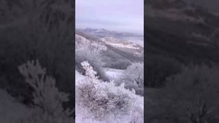 Морозко. Зимняя сказка.