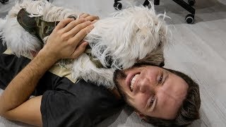 VLOG: САМАЯ МИЛАЯ В МИРЕ СОБАКА