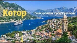 Черногория Котор