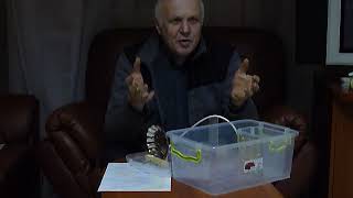 Как получить живую и мертвую воду.