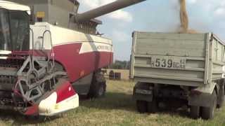 Один день на уборки ячменя МАЗ-5551 ,АКРОС-530,ПАЛЕССЕ-GS12