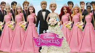 Play Doh Wedding Dress Anna & Kristoff  Disney Prince & Princesses Inspired Costumes