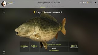 ?Русская рыбалка 4?-Карп и Амур  Фарм на Озере Медвежье