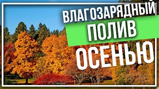 Влагозарядный полив осенью. Техника проведения. Польза и вред.