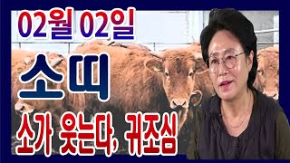 2020년 경자년 띠별운세 소띠운세  02월 02일 오늘의 운세 무료운세 소가웃는다, 귀조심 수미산당 구슬보살 010-6622-5682