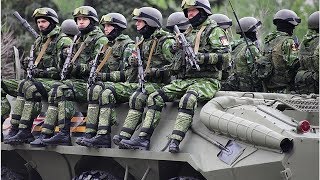 ДНР: Украинская армия сражается в Донбассе под флагом Вермахта