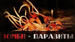 ЗОМБИ-ПАРАЗИТЫ [Спецвыпуск] ПМИ