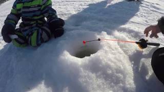 Зимняя рыбалка на водохранилище / Winter fishing on the reservoir