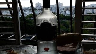 Доктор Тимкин. Почему люди пьют?