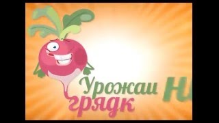 Новые сорта жимолости