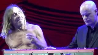Iggy Pop – 11. Nightclubbing (Positivus Festival, Salacgriva, Latvia, 17.07.16)