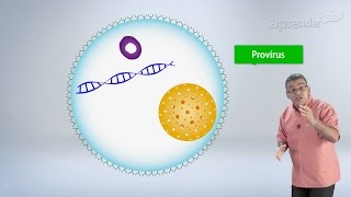 Biologia - Vírus e Bactéria - 1/4