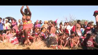 ZULU MAIDENS - INTONI OZIQHENYA NGAYO