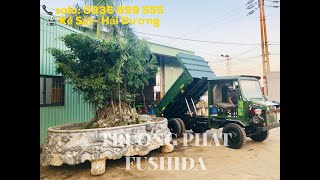 CÔNG NÔNG 2 Cầu - PHANH HƠI LỐC KÊ - DUMP TRUCK 2,5 TON- TRUONG PHAT HD 0936899555