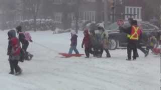 Toronto, Ontario Winter Snow Storm - Canada, eh ?