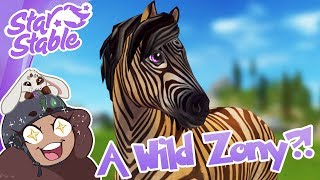 A Wild Zony Appears?! ?? Star Stable