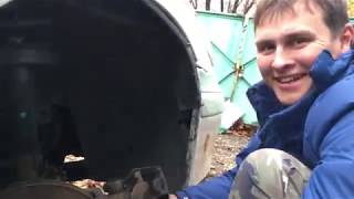 Обмен Saab 9000 на Saab 9-5