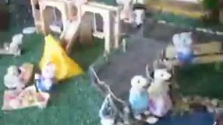 My sylvanian families collection