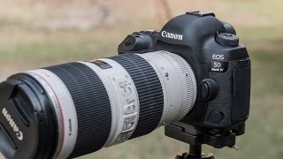 Canon 5D Mark IV Review in 4k - Just Good Enough