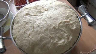 Тесто дрожжевое опарное сдобное - все о тесте