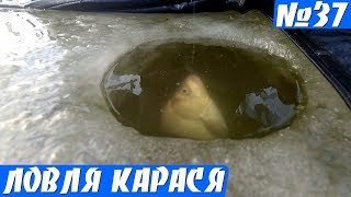 Ловля Карася Зимой, со льда. Лунки рядом, а ловится в одной!