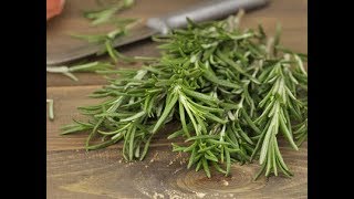 Une plante médicinale méconnue: Le Romarin.