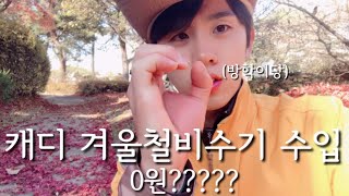 캐디 겨울철 비수기 수입