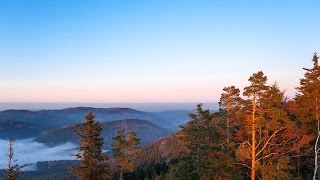 Urlaub im Schwarzwald - Traum Ferienhaus Schwarzwald