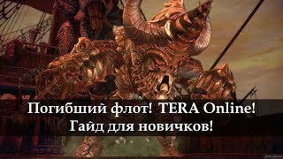 Погибший Флот - Гайд для новичков. TERA Online