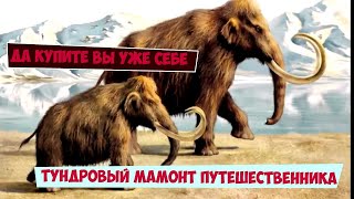 ДА КУПИТЕ ВЫ УЖЕ СЕБЕ: ТУНДРОВЫЙ МАМОНТ ПУТЕШЕСТВЕННИКА | WOW