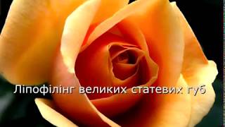Лабіопластика. Інтимна пластика "Кавове зерно".