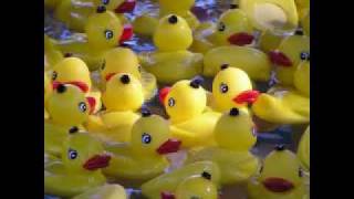 Ducks Deluxe - Love's Melody - 1974