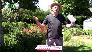 Comment planter et entretenir la pomme terre ?