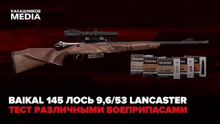 Тест нового карабина Baikal 145 Лось под патрон 9,6/53 Lancaster! Испытываем различными боеприпасами