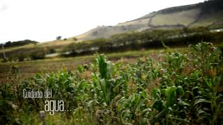 Intensificación Sostenible de la Producción Agropecuaria en Colombia.- ISPA