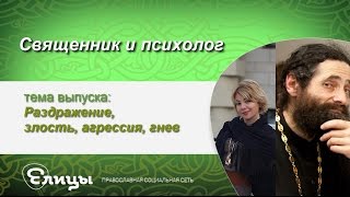 Раздражение, злость, агрессия, гнев. Священник & психолог. Маркелова В.Б. и о. Макарий Маркиш