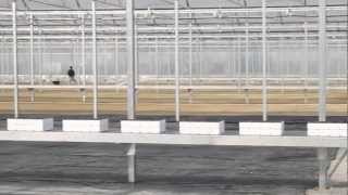 URBINATI Srl - Nastri di trasporto in alluminio per serre NTS
