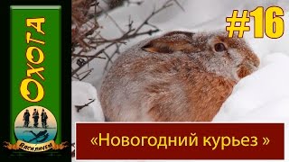 Охота на зайца. " Новогодний курьез" .