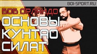 Боб Орландо. Основы Кунтао Силат (Полная версия)