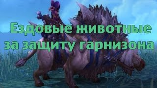 Ездовые животные за защиту гарнизона